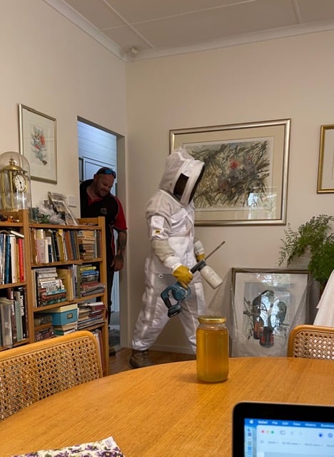 A1 Pest Control Canberra business image in Phillip, Australian Capital Territory